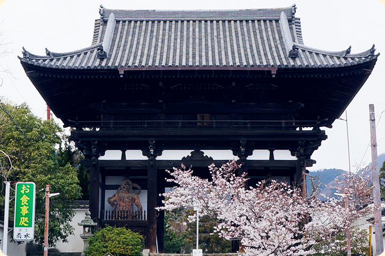 桜と仁王門