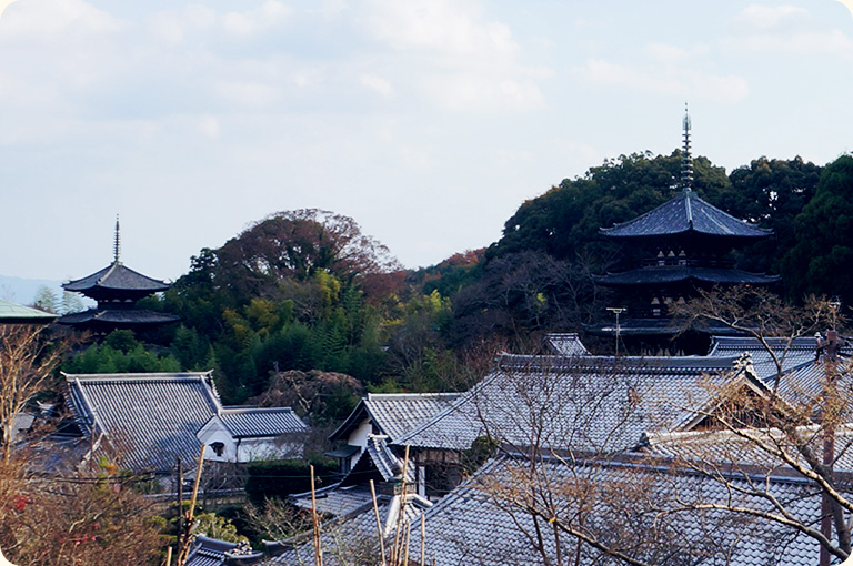 撰択本願念仏集